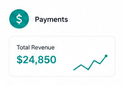 Payments total revenue card